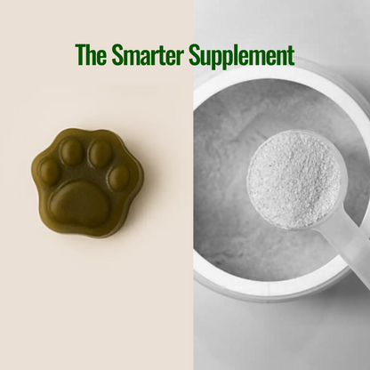 DG1 Daily Gummy Multivitamin for Dogs - Chicken